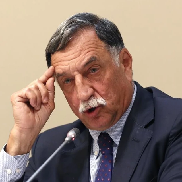 Domenico Rossi